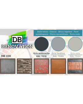 DB-220 Peinture sol terrasse pour béton - Forte protection UV - Haute  imperméabilité - Kit 5-10KG Couleurs Gris anthracite similaire RAL 7016  Tailles 5KG
